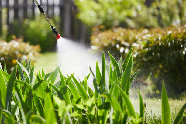 24/7 Emergency Wasp Removal experts in New Carlisle, OH