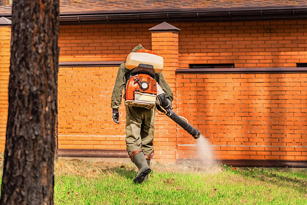 Top rated local Wasp Removal specialists in New Carlisle, OH